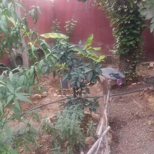Appartement Chez Fatima, Agadir